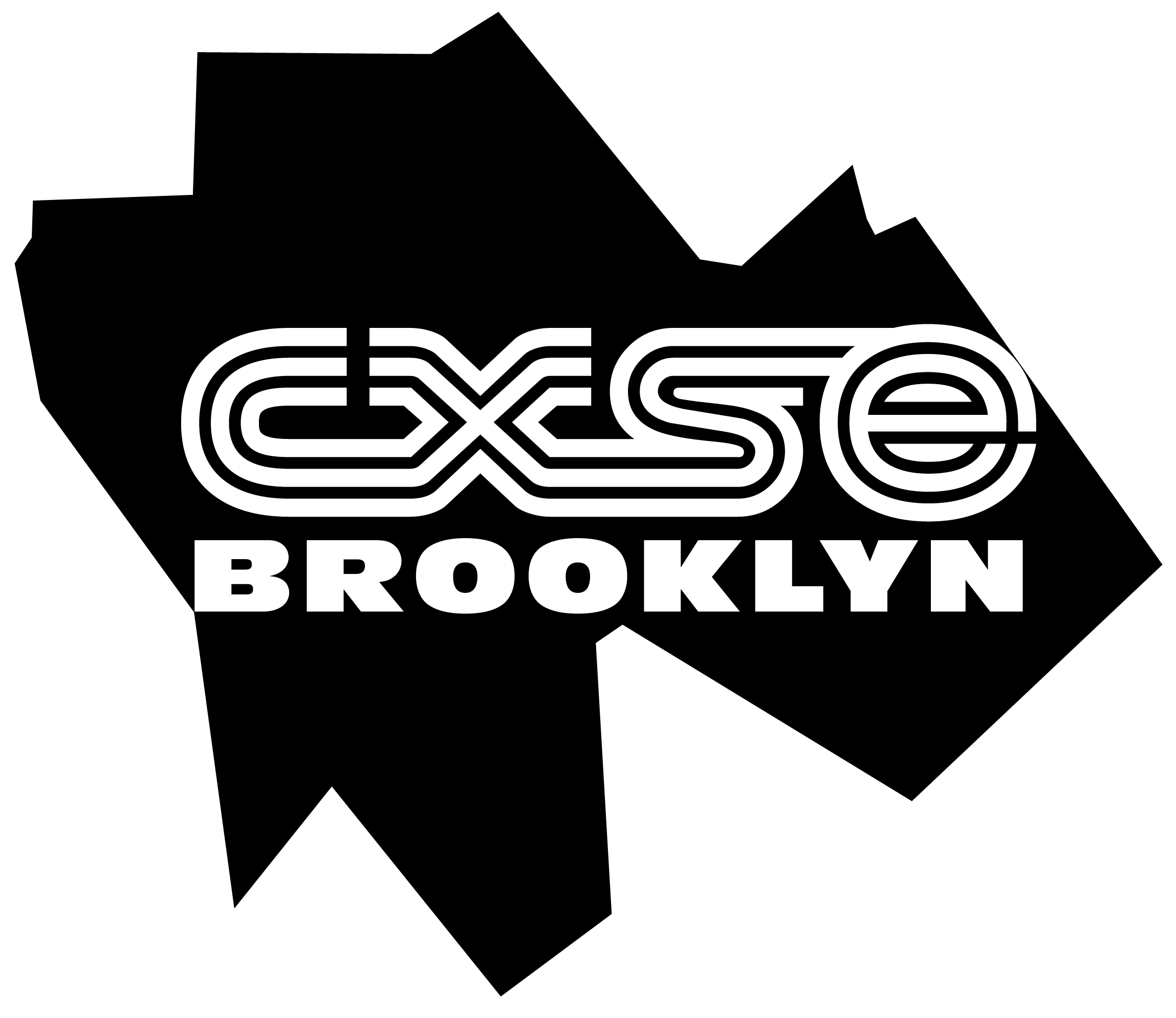 Central and South East Brooklyn Community Development